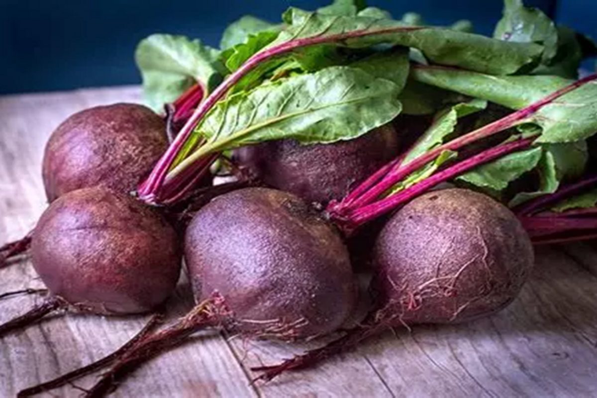 Bottes de betteraves potagères avec leurs fanes vertes sur une planche en bois